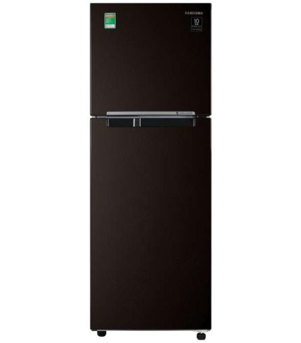 Tủ lạnh Samsung Inverter 236 lít RT22M4032BU/SV