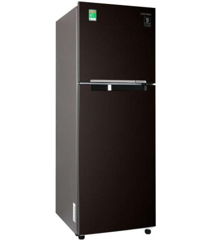 Tủ lạnh Samsung Inverter 236 lít RT22M4032BU/SV